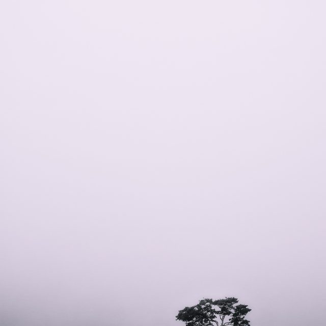 A Foggy Day - Photo