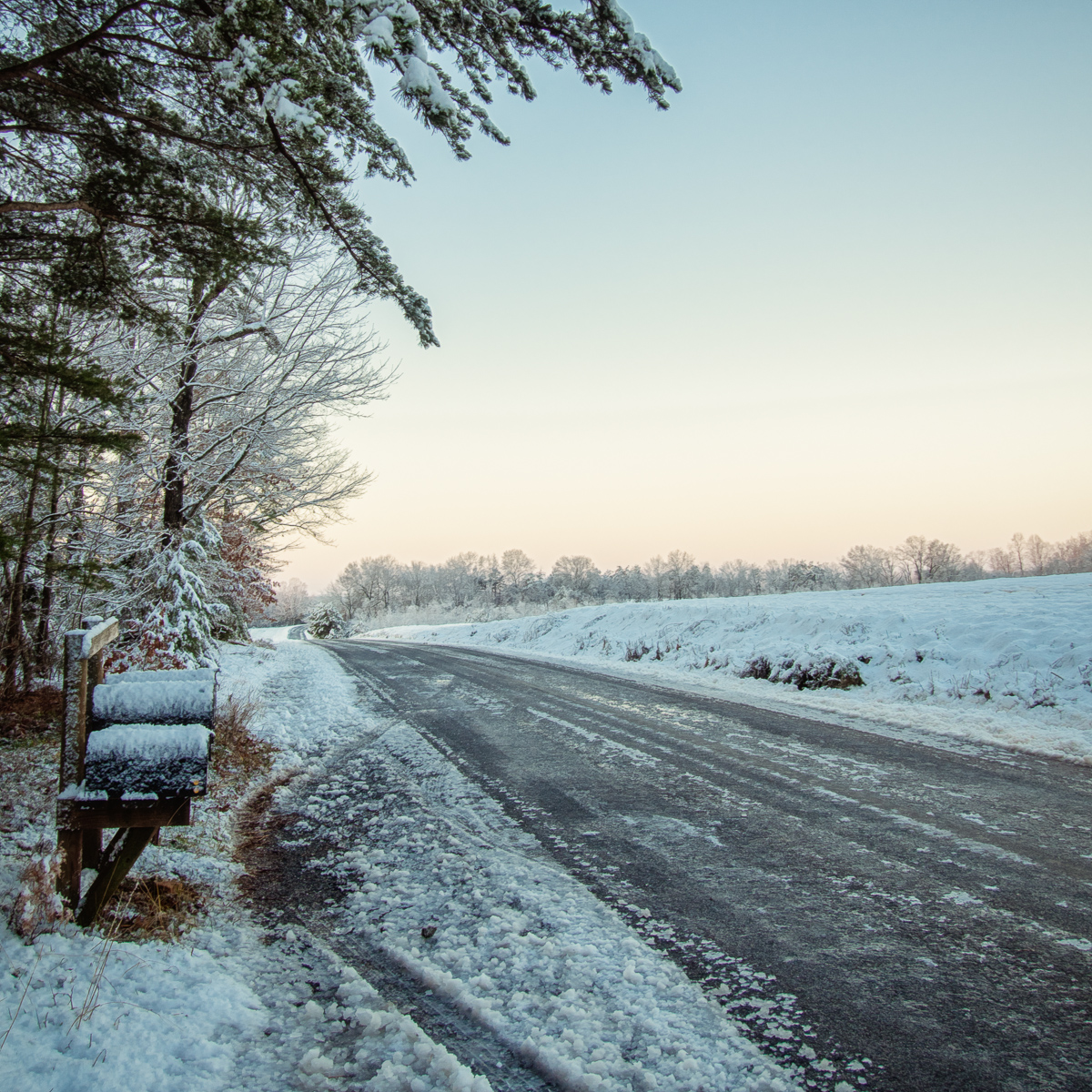 Snow Day - Road - Photo
