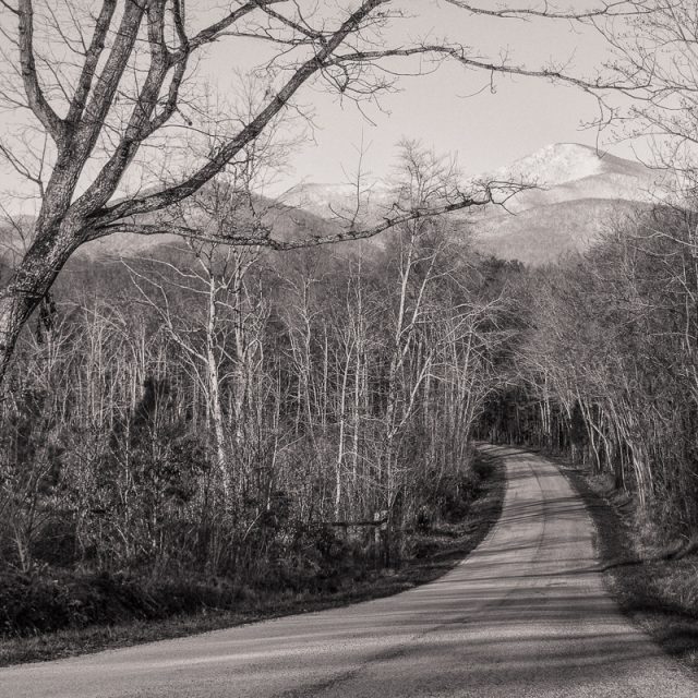 Through The Woods - Road - Photo