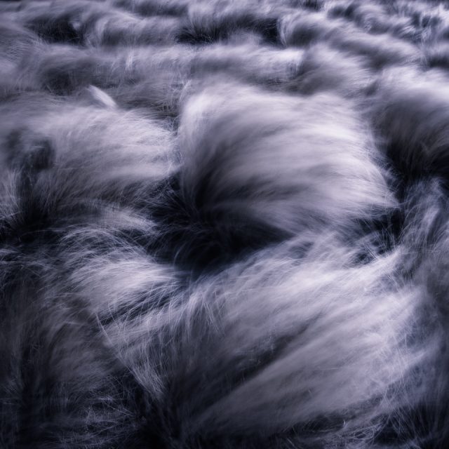 Night Mare - Grass - Photo