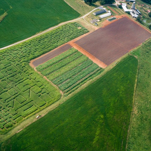 Our Farm from the Air